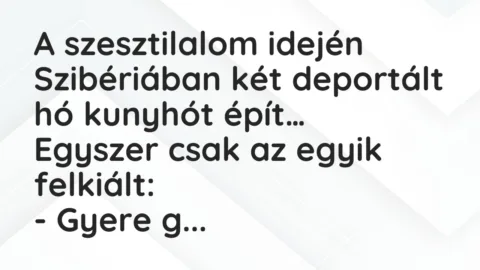 Vicc: A szesztilalom idején Szibériában két deportált hó kunyhót épít… Vicc: A szesztilalom idején Szibériában két deportált hó kunyhót épít…