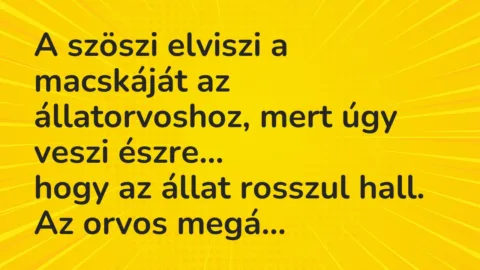 Vicc: A szöszi elviszi a macskáját az állatorvoshoz, mert úgy veszi észre…
