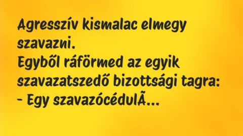 Vicc: Agresszív kismalac elmegy szavazni…