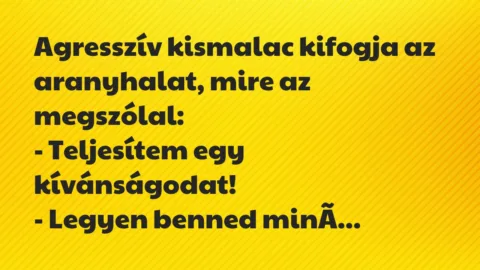 Vicc: Agresszív kismalac kifogja az aranyhalat, mire az megszólal…