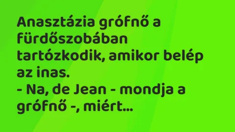 Vicc: Anasztázia grófnő a fürdőszobában tartózkodik, amikor belép az inas… Vicc: Anasztázia grófnő a fürdőszobában tartózkodik, amikor belép az inas…
