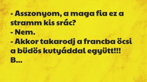 Vicc: Asszonyom, a maga fia ez a stramm kis srác?