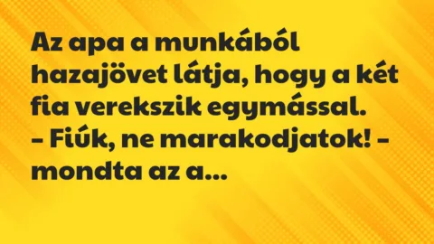 Vicc: Az apa a munkából hazajövet látja, hogy a két fia verekszik egymással…