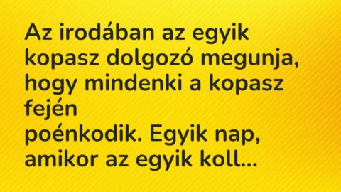 Vicc: Az irodában az egyik kopasz dolgozó megunja, hogy mindenki a kopasz…