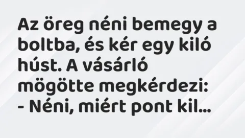 Vicc: Az öreg néni bemegy a boltba, és kér egy kiló húst.