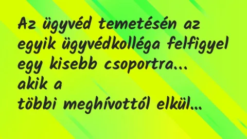 Vicc: Az ügyvéd temetésén az egyik ügyvédkolléga felfigyel egy kisebb…