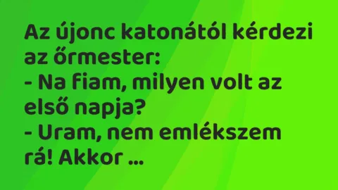 Vicc: Az újonc katonától kérdezi az őrmester:
– Na fiam, milyen volt az… Vicc: Az újonc katonától kérdezi az őrmester:
– Na fiam, milyen volt az…