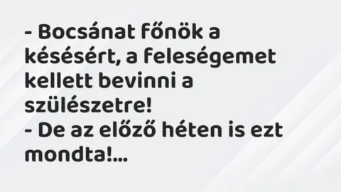 Vicc: Bocsánat főnök a késésért, a feleségemet kellett bevinni a szülészetre…