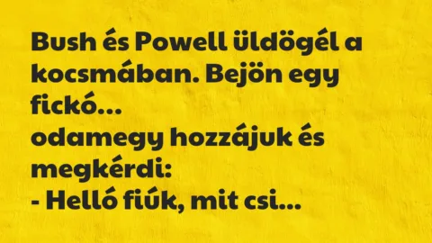 Vicc: Bush és Powell üldögél a kocsmában. Bejön egy fickó, odamegy hozzájuk…