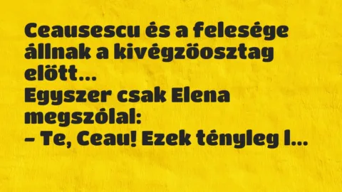 Vicc: Ceausescu és a felesége állnak a kivégzőosztag előtt. Egyszer csak…