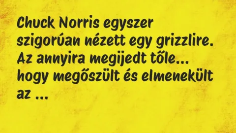 Vicc: Chuck Norris egyszer szigorúan nézett egy grizzlire. Az annyira…