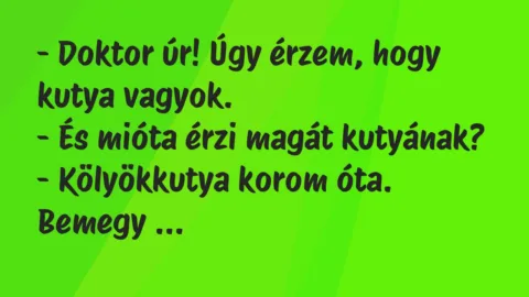 Vicc: Doktor úr! Úgy érzem, hogy kutya vagyok…