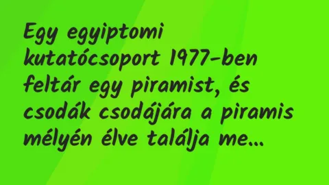 Vicc: Egy egyiptomi kutatócsoport 1977-ben feltár egy piramist, és csodák…