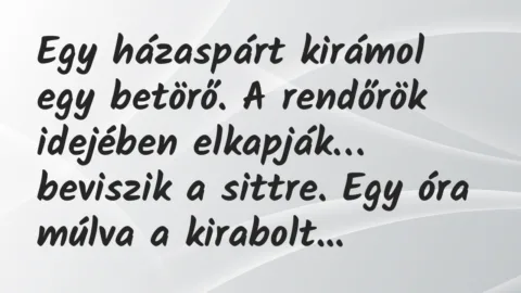Vicc: Egy házaspárt kirámol egy betörő. A rendőrök idejében elkapják…