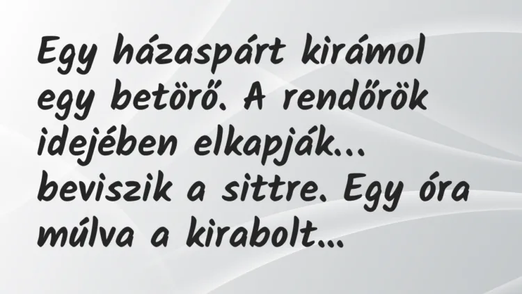 Vicc: Egy házaspárt kirámol egy betörő. A rendőrök idejében elkapják… Vicc: Egy házaspárt kirámol egy betörő. A rendőrök idejében elkapják…