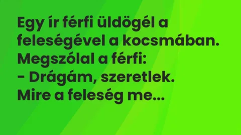 Vicc: Egy ír férfi üldögél a feleségével a kocsmában. Megszólal a férfi…