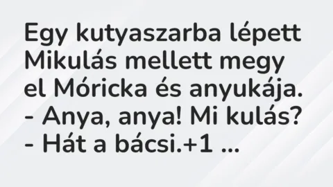 Vicc: Egy kutyaszarba lépett Mikulás mellett megy el Móricka és anyukája…. Vicc: Egy kutyaszarba lépett Mikulás mellett megy el Móricka és anyukája….