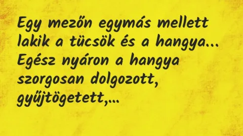 Vicc: Egy mezőn egymás mellett lakik a tücsök és a hangya. Egész nyáron…