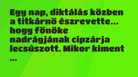 Vicc: Egy nap, diktálás közben a titkárnő észrevette, hogy főnöke nadrágjának…