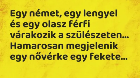 Vicc: Egy német, egy lengyel és egy olasz férfi várakozik a szülészeten… Vicc: Egy német, egy lengyel és egy olasz férfi várakozik a szülészeten…