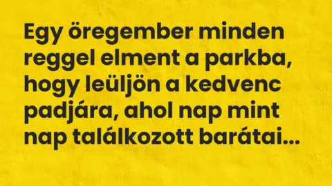 Vicc: Egy öregember minden reggel elment a parkba, hogy leüljön a kedvenc padjára…