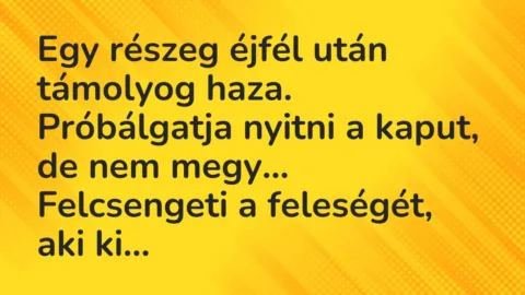 Vicc: Egy részeg éjfél után támolyog haza. Próbálgatja nyitni a kaput…