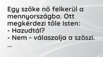 Vicc: Egy szőke nő felkerül a mennyországba. Ott megkérdezi tőle Isten…