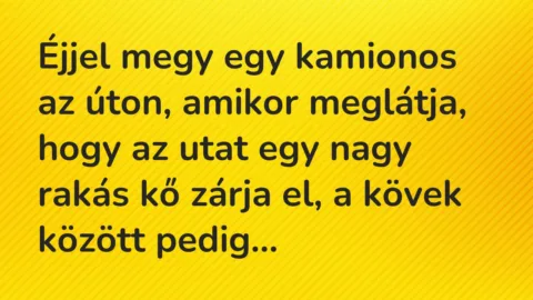 Vicc: Éjjel megy egy kamionos az úton, amikor meglátja, hogy az utat egy…