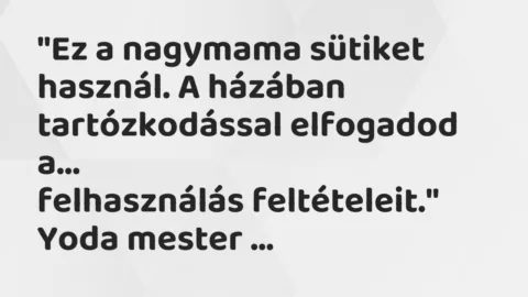 Vicc: “Ez a nagymama sütiket használ. A házában tartózkodással elfogadod…