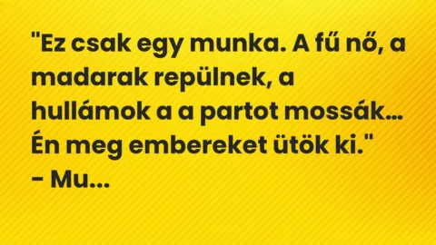 Vicc: “Ez csak egy munka. A fű nő, a madarak repülnek, a hullámok a a partot…