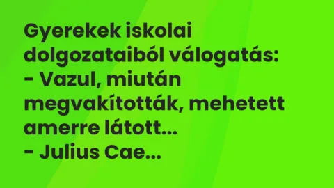 Vicc: Gyerekek iskolai dolgozataiból válogatás…