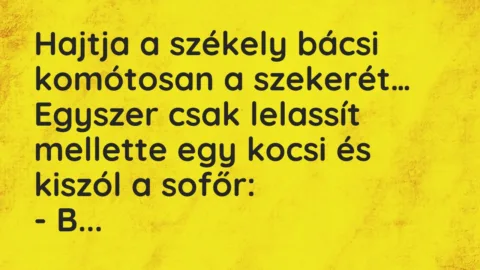 Vicc: Hajtja a székely bácsi komótosan a szekerét. Egyszer csak lelassít…