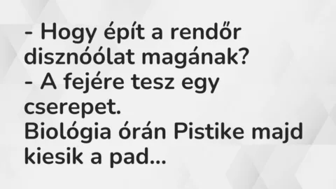 Vicc: Hogy épít a rendőr disznóólat magának?