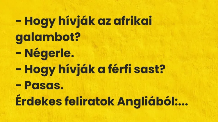 Vicc: Hogy hívják az afrikai galambot? Vicc: Hogy hívják az afrikai galambot?
