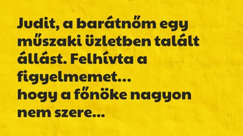 Vicc: Judit, a barátnőm egy műszaki üzletben talált állást. Felhívta…