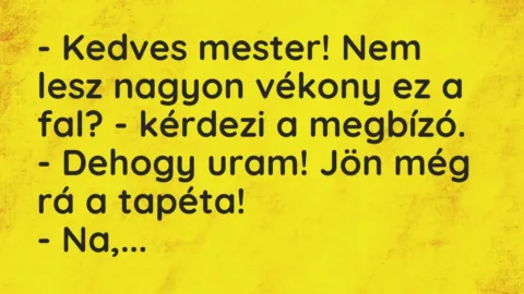 Vicc: Kedves mester! Nem lesz nagyon vékony ez a fal? – kérdezi a megbízó…