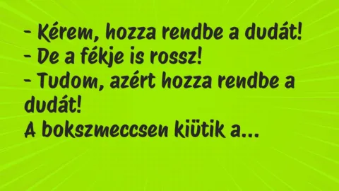 Vicc: Kérem, hozza rendbe a dudát…