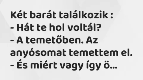 Vicc: Két barát találkozik :

– Hát te hol voltál?

– A temetőben. A…