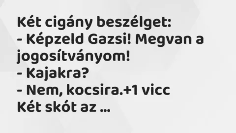 Vicc: Két cigány beszélget:

– Képzeld Gazsi! Megvan a…