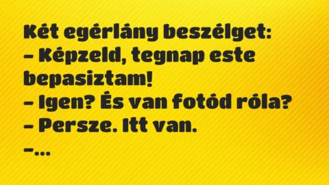 Vicc: Két egérlány beszélget…