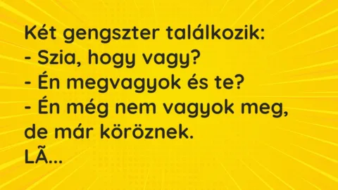 Vicc: Két gengszter találkozik…