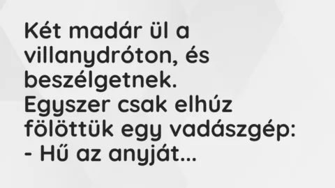 Vicc: Két madár ül a villanydróton, és beszélgetnek…