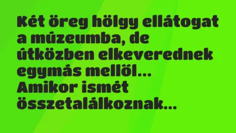 Vicc: Két öreg hölgy ellátogat a múzeumba, de útközben elkeverednek egymás…