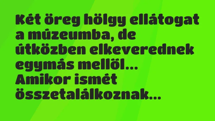 Vicc: Két öreg hölgy ellátogat a múzeumba, de útközben elkeverednek egymás… Vicc: Két öreg hölgy ellátogat a múzeumba, de útközben elkeverednek egymás…