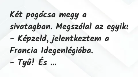 Vicc: Két pogácsa megy a sivatagban. Megszólal az egyik:

– Képzeld,…