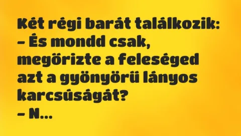 Vicc: Két régi barát találkozik:
– És mondd csak, megőrizte a feleséged… Vicc: Két régi barát találkozik:
– És mondd csak, megőrizte a feleséged…