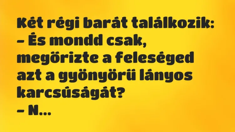 Vicc: Két régi barát találkozik:
– És mondd csak, megőrizte a feleséged… Vicc: Két régi barát találkozik:
– És mondd csak, megőrizte a feleséged…