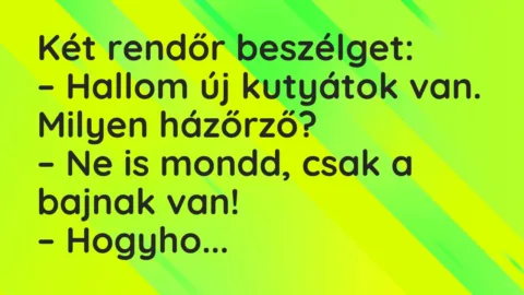 Vicc: Két rendőr beszélget…
