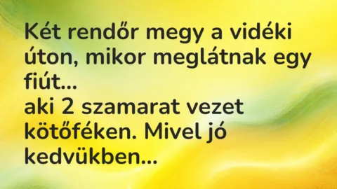 Vicc: Két rendőr megy a vidéki úton, mikor meglátnak egy fiút…
