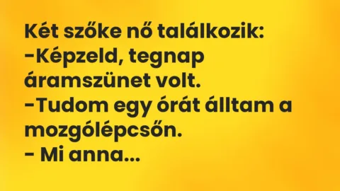 Vicc: Két szőke nő találkozik…